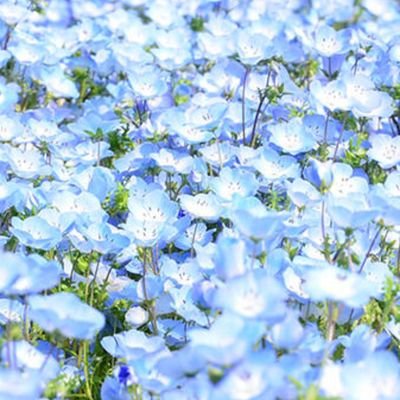 YUKIO_YOKOI's profile picture. 北海道にある日本一人口が少ない市(歌志内市)在住。

週末は主に自宅から90分のラウンドワン旭川に出没します。

#ボウリング 2022.3から両手投げに転向→HG259(2025.4)片手時代のHGは263/#漢検2級(2022.7 取得)/#麻雀格闘倶楽部