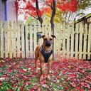 Eli Frankel - @eli_frankel4 - Twitter