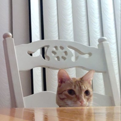 Confjrm Profile Picture