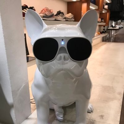 hal1213tw's profile picture. 日本株と米国株への投資を楽しみながらやってます！