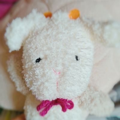 ※多忙の為しばらく低浮上

ぬいぐるみと動物大好き🧸
たまにぬいさん作ってます。
フォローはご自由にどうぞ！
♡←は共感・応援の意味でも押します。

めちゃめちゃ人見知りです、、。
気を悪くさせてしまってたらすみません。
無言フォロー失礼します。
いつも皆様に感謝です🤍