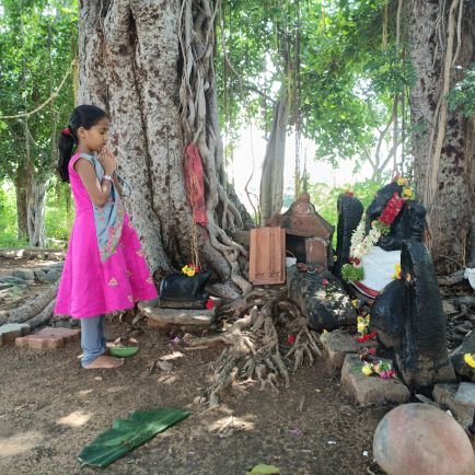 ShineStudioEve1's profile picture. I Am A Photographer