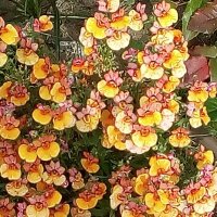 Bajka #Nawrocki2025 (@bajeczka12345) 's Twitter Profile