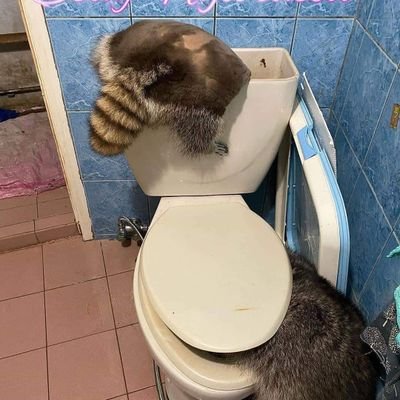 Dustyyboii's profile picture. 