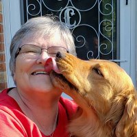 NancyWing (@nancywing232) 's Twitter Profile