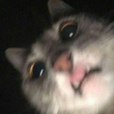 world_zl's profile picture. ;-;