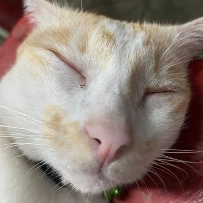 PP55461051's profile picture. 