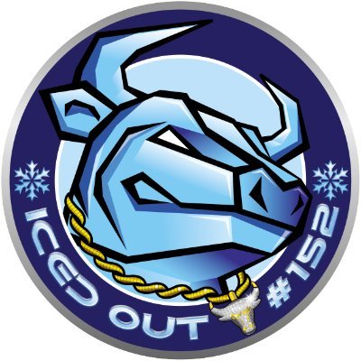 IcedOutBulls