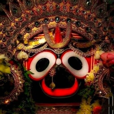 Vineetp42903928's profile picture. 