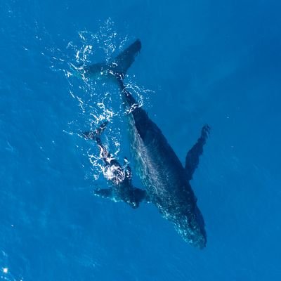 kさんのプロフィール画像