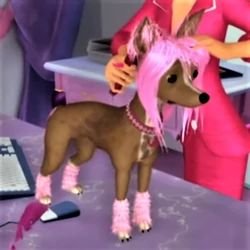 chu2mylove's profile picture. NSFW ACCOUNT
She/him ig