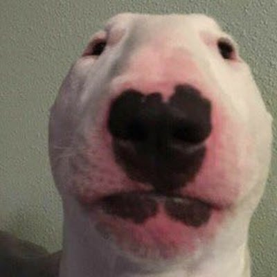 chalkage's profile picture.