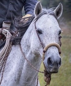 jimmaherabh's profile picture. 