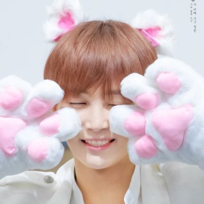 — #세븐틴’s #정한 as bunnies