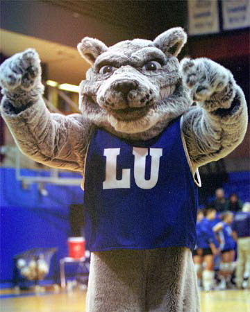 lu_wolfie's profile picture. The official mascot of Lakehead University!!