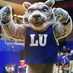 Wolfie (@lu_wolfie) Twitter profile photo Wolfie (@lu_wolfie) Twitter profile photo