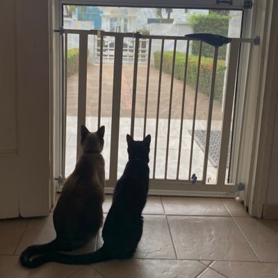 Nata_o2's profile picture. 