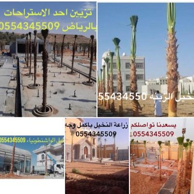 متخصصون اسوار الشبك وزراعة النخيل بجميع اصنافه واطواله للتواصل 0554345509