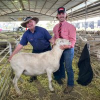 Marshall Bowey (@marshallbowey) Twitter profile photo