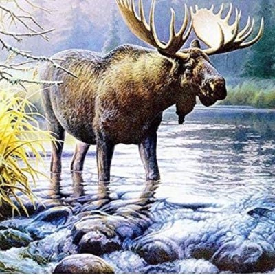 moosethemaan's profile picture.