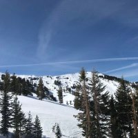 闲聊 (@snowboardding) 's Twitter Profile