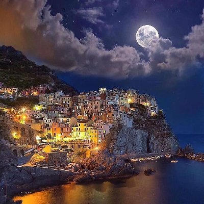 freeforall001's profile picture. 