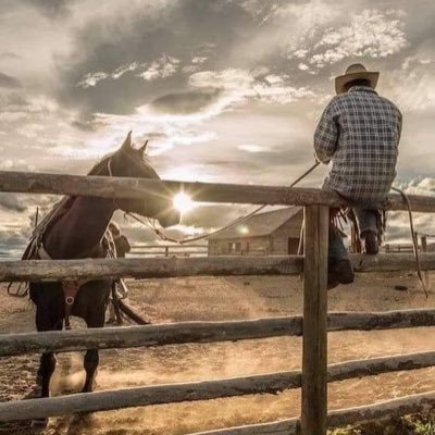 Armando08118343's profile picture. 