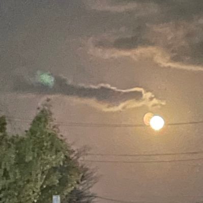 AOCHAN1106's profile picture. 