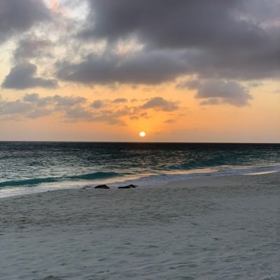 adriennsp's profile picture. What a good day to buy some coins.