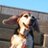 imakayo_jb's profile image