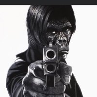 Alex (@alexandre_itier) 's Twitter Profile