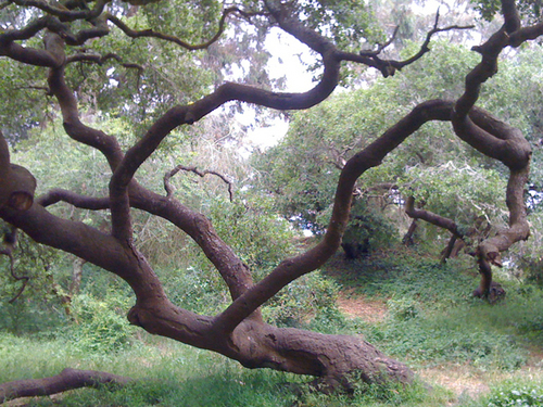 EmpathicDesign's profile picture. 