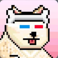 0xVince.K (@vincekuo1988) 's Twitter Profile