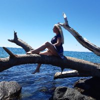 Spetterbommetje (@crypto_dims) 's Twitter Profile