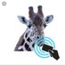 ncard_tanzania (@ncardtanzania) Twitter profile photo ncard_tanzania (@ncardtanzania) Twitter profile photo