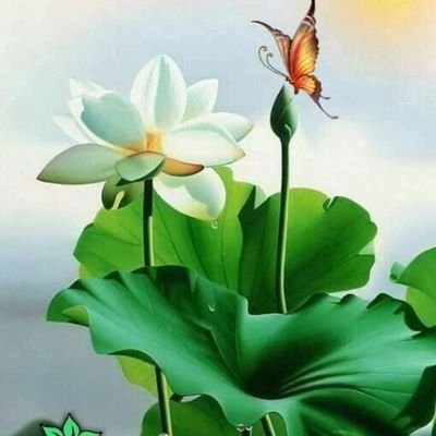 AyazAli63519242's profile picture. 