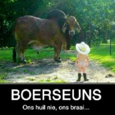 Jake38535246's profile picture. Altyd jags 🤣

Maak kontak as jy wil lekker chat.