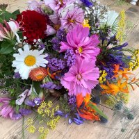 Flowers on the Level (@flowerslevel) 's Twitter Profile Photo Flowers on the Level (@flowerslevel) 's Twitter Profile Photo