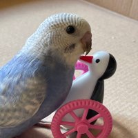 ゆっぴー (@yuu0809beer) 's Twitter Profile Photo ゆっぴー (@yuu0809beer) 's Twitter Profile Photo