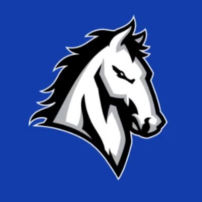 mvcmustangs Profile Picture