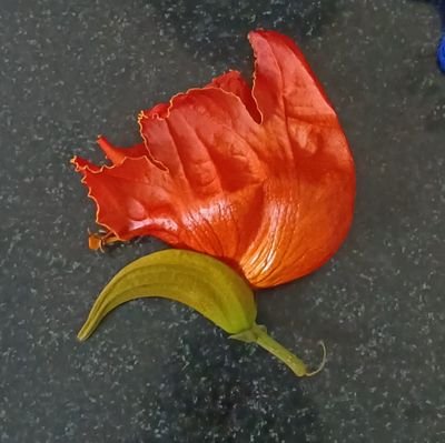 rama_krishna471's profile picture. 