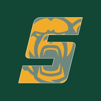 Sidelines - Baylor🟩🟨 Profile