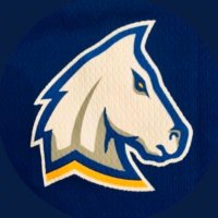 Madeira Boys Basketball (@madeirahoops) 's Twitter Profile