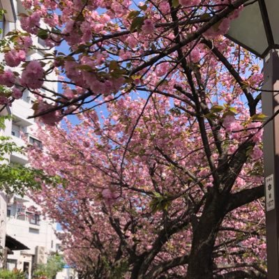 tantianniprima1's profile picture. 2021年4月に望海風斗さんを知り、何十年ぶりに宝塚沼へ！ 最近はスカイステージがお友達！ 望海風斗さん、涼風真世さん、若央りささん、真彩希帆さんが大好きです❤ 息子2人とnozomistに！退団後の舞台はかかさずに観に行けるようにしています。夢は宝塚へ行き観劇すること。無言フォロー失礼します。