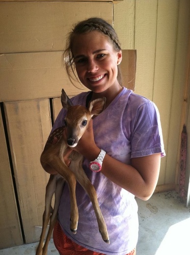 stevieMwhite's profile picture. 