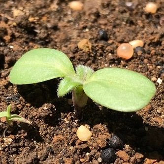 JKMJ42619677's profile picture. Not fluent in sns.