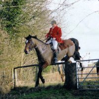 Colin Hardinge (@cahardinge) 's Twitter Profile