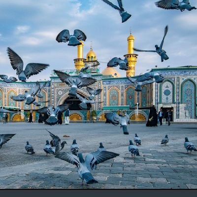 BhatBiL30698508's profile picture. 𝘉𝘩𝘢𝘵 𝘣𝘪𝘓𝘢𝘭