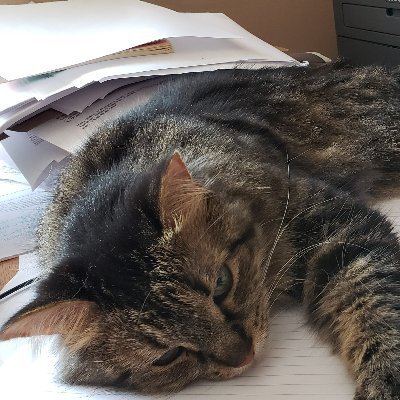AmyJoT2's profile picture. she/her/hers / Literary agent at @TransLitAgency.
