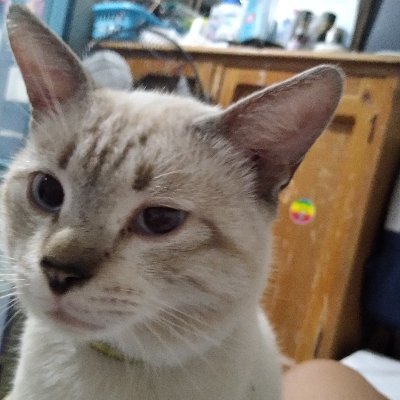 Ruzz65141076's profile picture. 